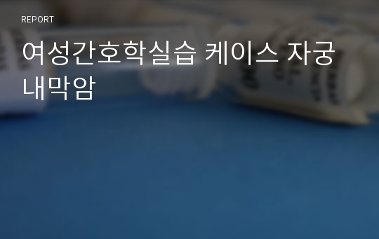 여성간호학실습 케이스 자궁내막암