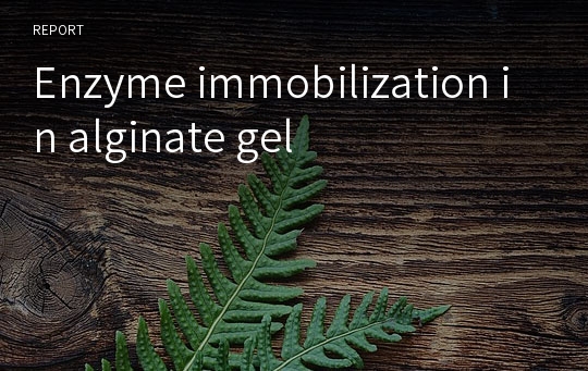 [A+레포트]고정화 효소 제조 및 활성도 측정 (Enzyme immobilization in alginate gel)