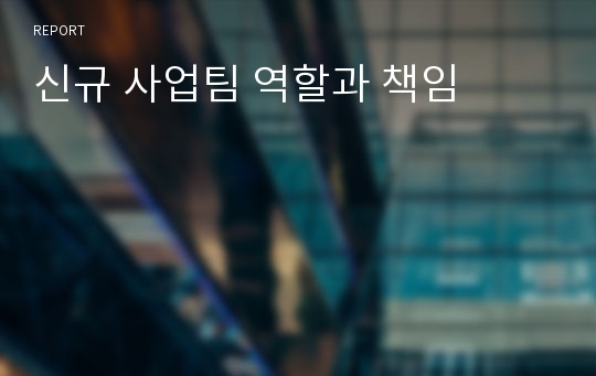 신규 사업팀 역할과 책임