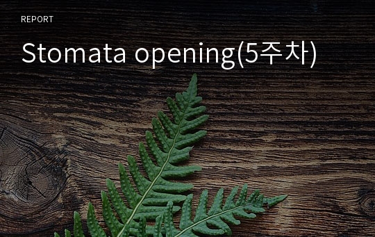 Stomata opening(5주차)