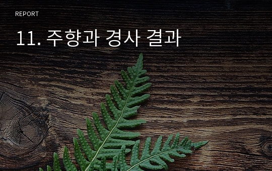 11. 주향과 경사 결과