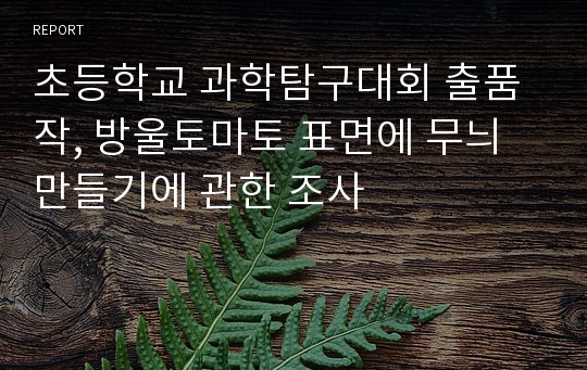 초등학교 과학탐구대회 출품작, 방울토마토 표면에 무늬 만들기에 관한 조사