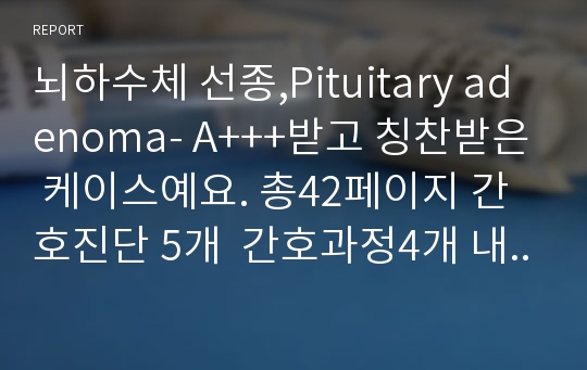 뇌하수체 선종,Pituitary adenoma- A+++받고 칭찬받은 케이스예요. 총42페이지 간호진단 5개  간호과정4개 내렸고, 이케이스만큼은 정말 자신있어요! 완전만족하실거예요