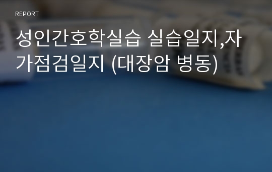 성인간호학실습 실습일지,자가점검일지 (대장암 병동)