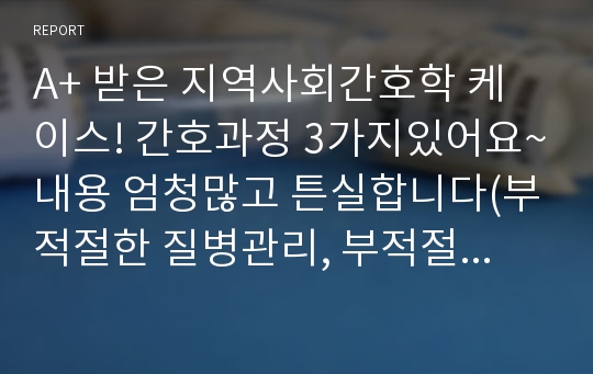 A+ 받은 지역사회간호학 케이스! 간호과정 3가지있어요~내용 엄청많고 튼실합니다(부적절한 질병관리, 부적절한 생활양식, 사회적고립)