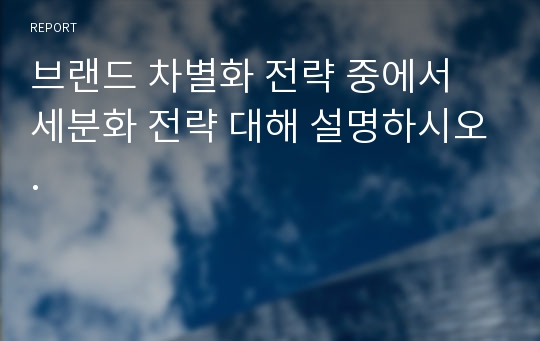 브랜드 차별화 전략 중에서 세분화 전략 대해 설명하시오.