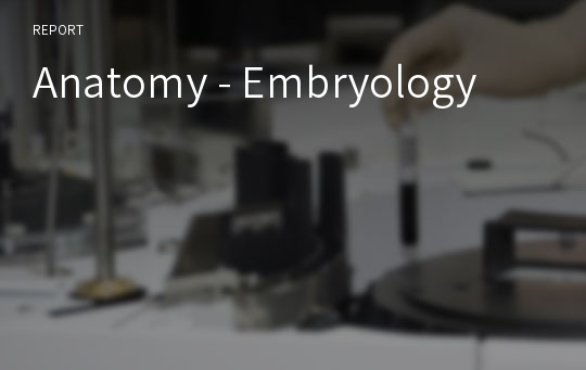 Anatomy - Embryology