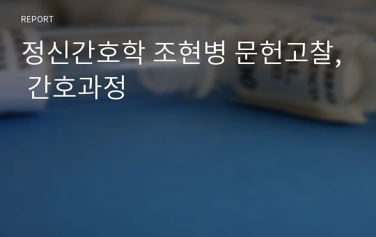 정신간호학 조현병 문헌고찰, 간호과정