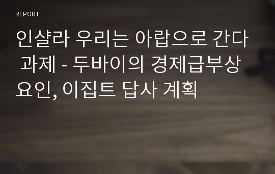 인샬라 우리는 아랍으로 간다 과제 - 두바이의 경제급부상 요인, 이집트 답사 계획