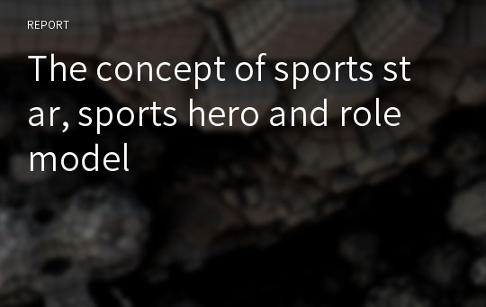 The concept of sports star, sports hero and role model