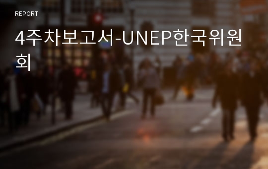 4주차보고서-UNEP한국위원회