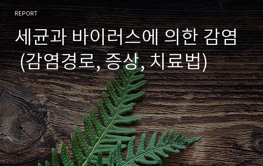 세균과 바이러스에 의한 감염 (감염경로, 증상, 치료법)