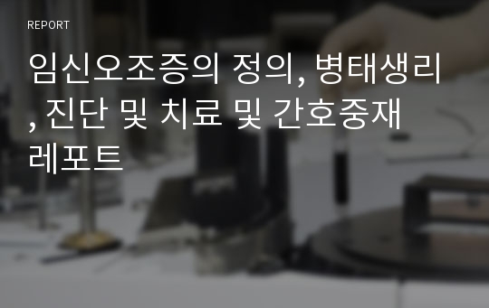 임신오조증의 정의, 병태생리, 진단 및 치료 및 간호중재 레포트