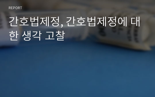 간호법제정, 간호법제정에 대한 생각 고찰