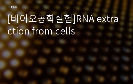 [바이오공학실험]RNA extraction from cells