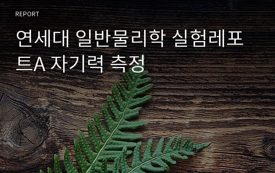 연세대 일반물리학 실험레포트A 자기력 측정