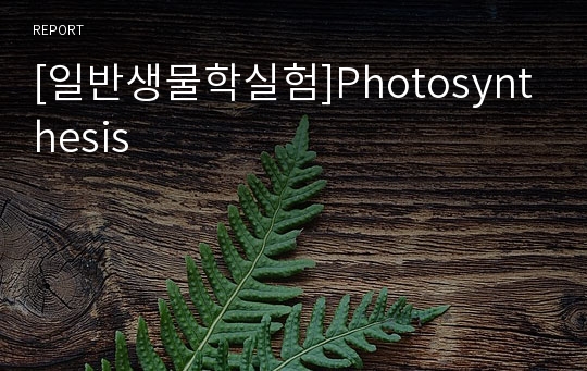 [일반생물학실험]Photosynthesis