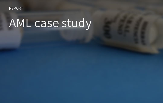 AML case study