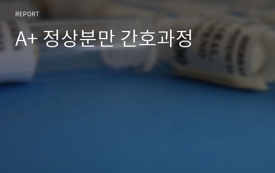 A+ 정상분만 간호과정