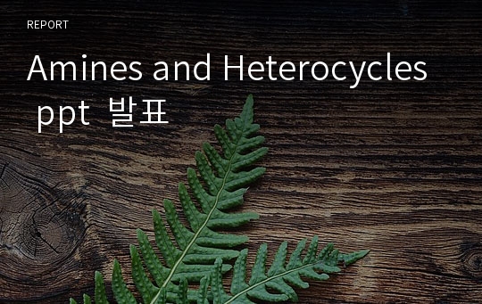 Amines and Heterocycles ppt  발표