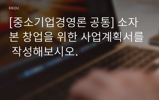 [중소기업경영론 공통] 소자본 창업을 위한 사업계획서를 작성해보시오.