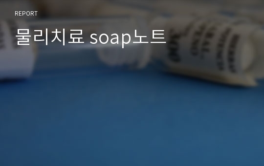 물리치료 soap노트, soap note
