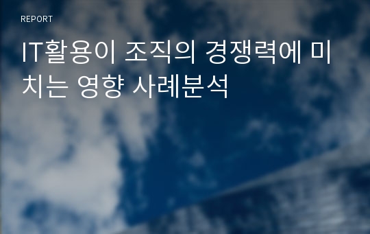 IT활용이 조직의 경쟁력에 미치는 영향 사례분석