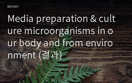 Media preparation &amp; culture microorganisms in our body and from environment (결과)