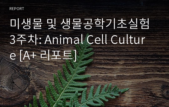 미생물 및 생물공학기초실험 3주차: Animal Cell Culture [A+ 리포트]