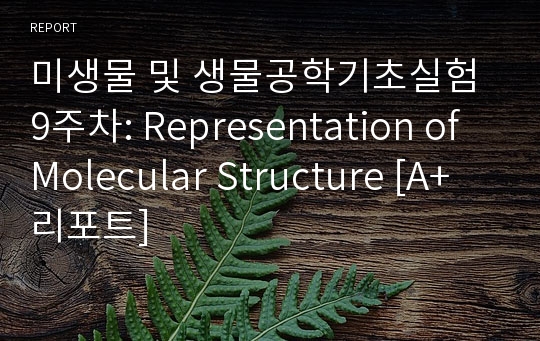 미생물 및 생물공학기초실험 9주차: Representation of Molecular Structure [A+ 리포트]