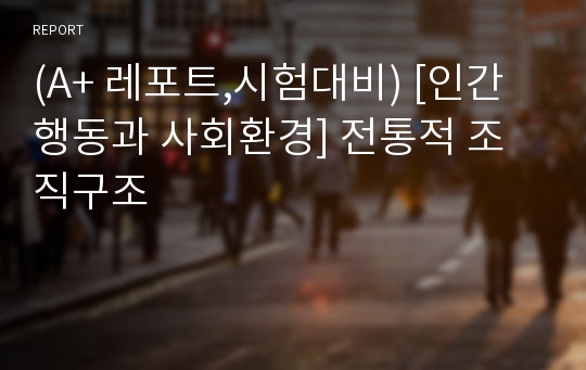 (A+ 레포트,시험대비) [인간행동과 사회환경] 전통적 조직구조