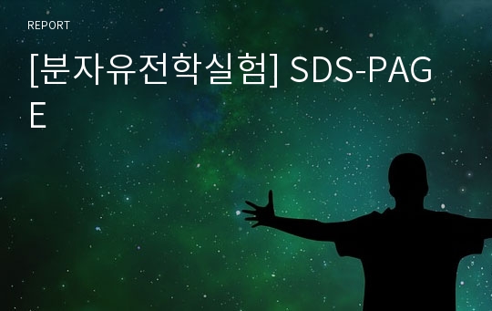 [분자유전학실험] SDS-PAGE