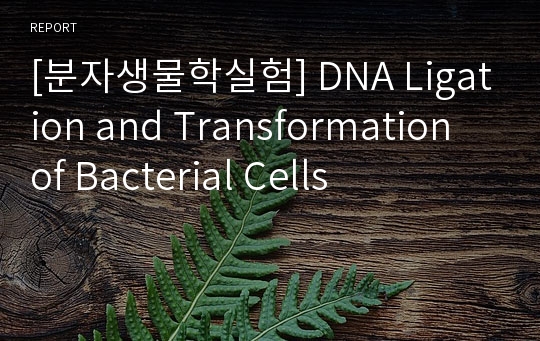 [분자생물학실험] DNA Ligation and Transformation of Bacterial Cells