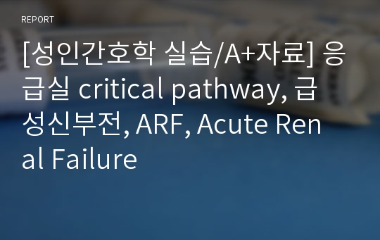 [성인간호학 실습/A+자료] 응급실 critical pathway, 급성신부전, ARF, Acute Renal Failure