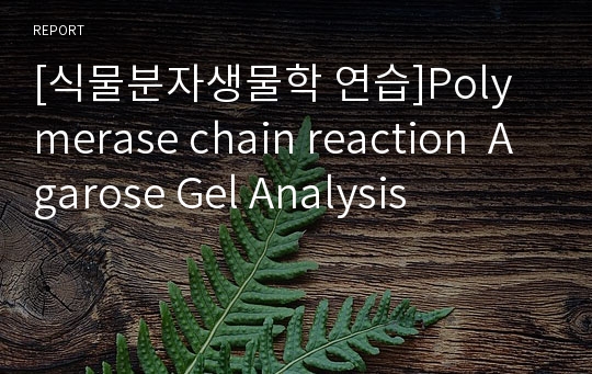 [식물분자생물학 연습]Polymerase chain reaction  Agarose Gel Analysis