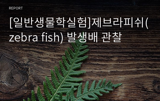 [일반생물학실험]제브라피쉬(zebra fish) 발생배 관찰