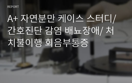 A+ 자연분만 케이스 스터디/ 간호진단 감염 배뇨장애/ 처치불이행 회음부통증