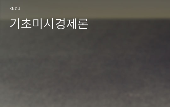 기초미시경제론