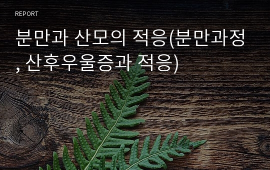 분만과 산모의 적응(분만과정, 산후우울증과 적응)