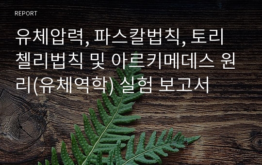 유체압력, 파스칼법칙, 토리첼리법칙 및 아르키메데스 원리(유체역학) 실험 보고서