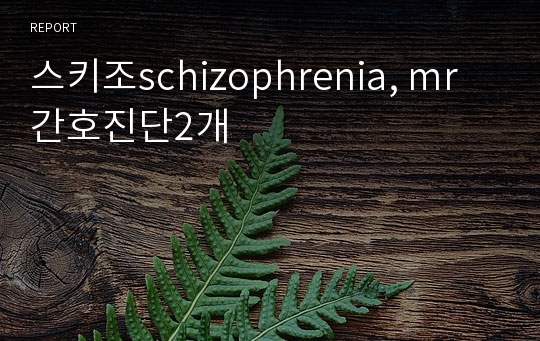 스키조schizophrenia, mr 간호진단2개
