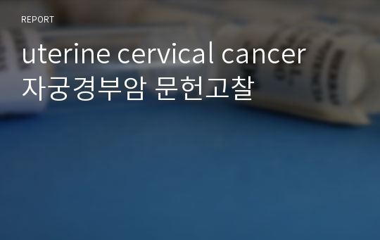 uterine cervical cancer 자궁경부암 문헌고찰