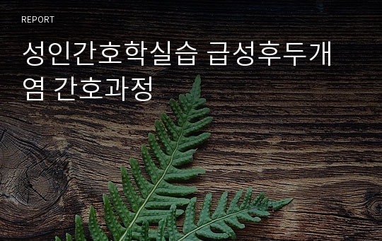 성인간호학실습 급성후두개염 간호과정