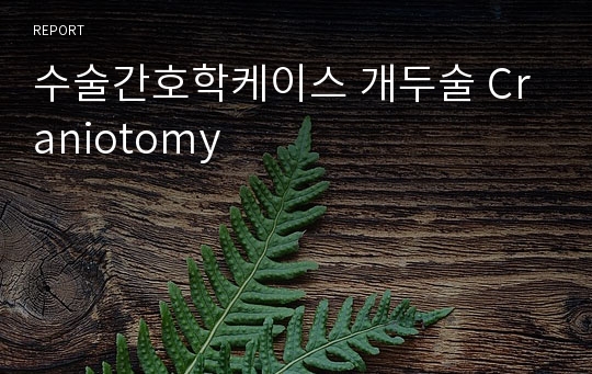 수술간호학케이스 개두술 Craniotomy