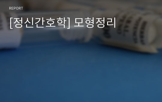 [정신간호학] 모형정리