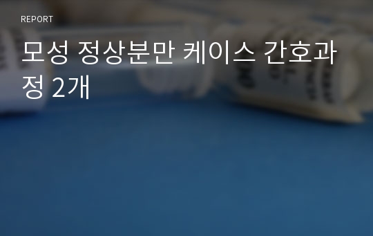 모성 정상분만 케이스 간호과정 2개