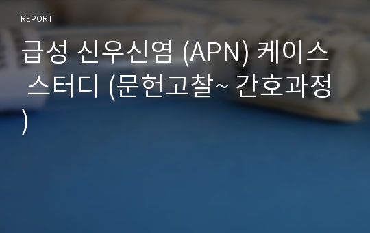 급성 신우신염 (APN) 케이스 스터디 (문헌고찰~ 간호과정)