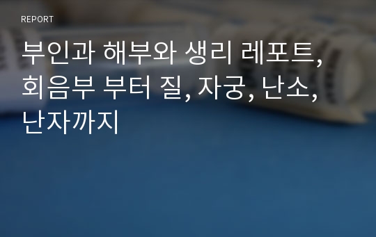 부인과 해부와 생리 레포트, 회음부 부터 질, 자궁, 난소, 난자까지