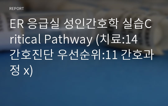 ER 응급실 성인간호학 실습Critical Pathway (치료:14 간호진단 우선순위:11 간호과정 x)