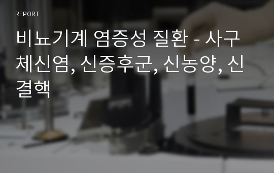 비뇨기계 염증성 질환 - 사구체신염, 신증후군, 신농양, 신결핵